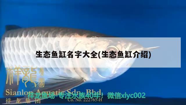 生態(tài)魚缸名字大全(生態(tài)魚缸介紹) 觀賞魚魚苗