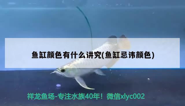 魚缸顏色有什么講究(魚缸忌諱顏色)