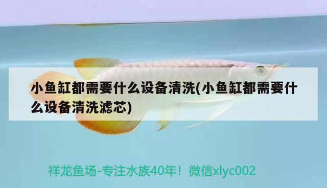 小魚缸都需要什么設(shè)備清洗(小魚缸都需要什么設(shè)備清洗濾芯) 祥龍魚場(chǎng)其他產(chǎn)品