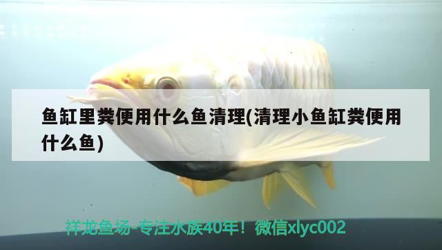 柳州魚(yú)缸定制電話(huà)：柳州魚(yú)缸定制電話(huà)地址 廣州水族批發(fā)市場(chǎng) 第1張