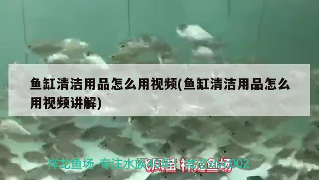 魚缸清潔用品怎么用視頻(魚缸清潔用品怎么用視頻講解) 伊巴卡魚