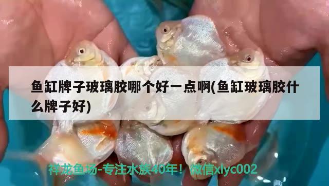 亞克力魚缸生產(chǎn)廠家地址及電話多少(亞克力魚缸生產(chǎn)廠家地址及電話多少號) 祥龍魚藥系列 第2張