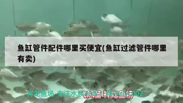 魚缸單過濾好還是雙過濾（魚缸雙過濾是什么意思） 其他品牌魚缸 第1張