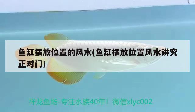 魚缸擺放位置的風水(魚缸擺放位置風水講究正對門) 魚缸風水