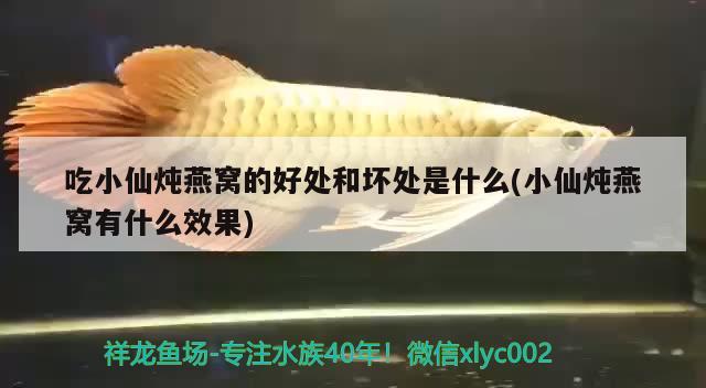 魚缸擺東北方好不好呢（魚缸擺東北方好不好呢） 其他品牌魚缸 第3張