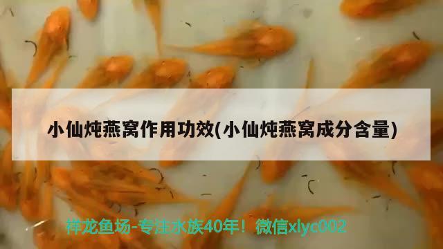 小仙燉燕窩作用功效(小仙燉燕窩成分含量) 馬來(lái)西亞燕窩