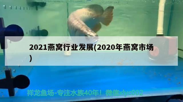 2021燕窩行業(yè)發(fā)展(2020年燕窩市場(chǎng)) 馬來西亞燕窩