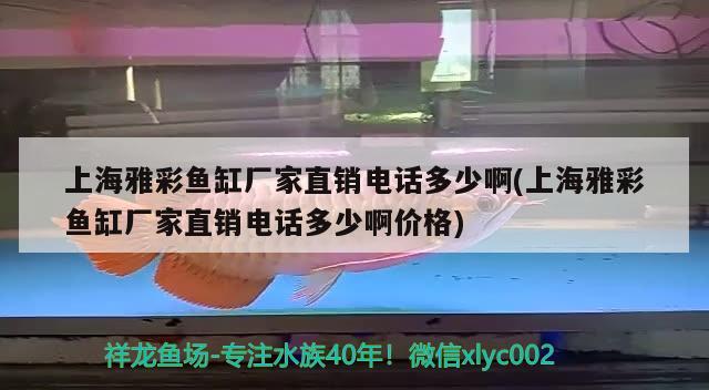 上海雅彩魚缸廠家直銷電話多少啊(上海雅彩魚缸廠家直銷電話多少啊價格) 喂食器