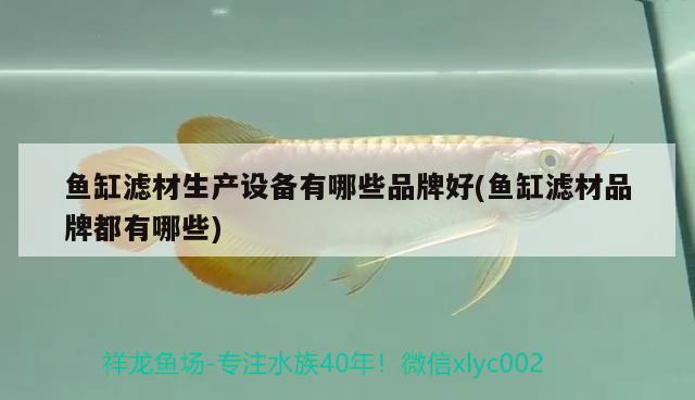 魚缸濾材生產(chǎn)設(shè)備有哪些品牌好(魚缸濾材品牌都有哪些)