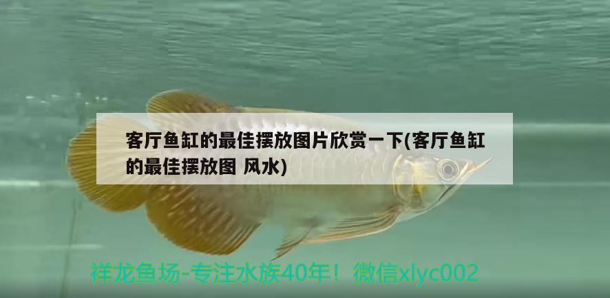 自制魚缸的制作方法圖解視頻 自制魚缸的制作方法圖解視頻教程