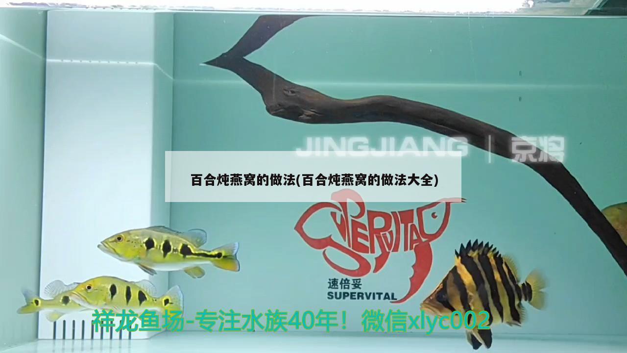 柘城縣森森水族用品店 水族用品 第4張