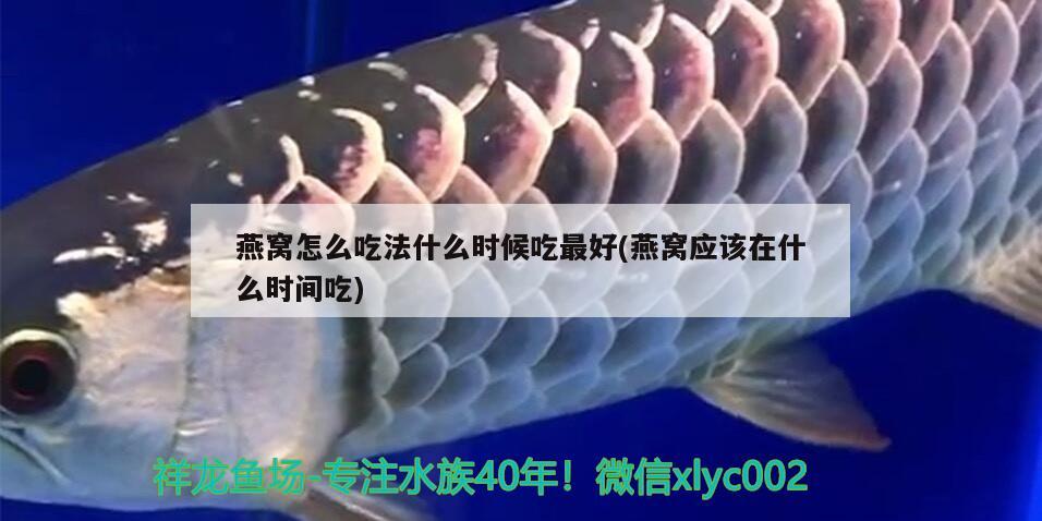 魚缸過濾有小蟲子怎么處理 魚缸過濾器里有小黑蟲怎么辦