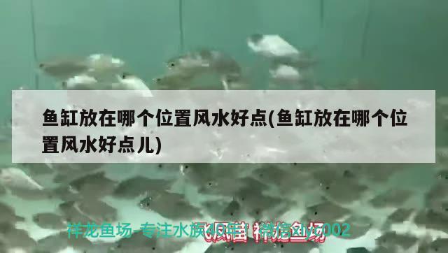 魚缸放在哪個位置風水好點(魚缸放在哪個位置風水好點兒) 魚缸風水