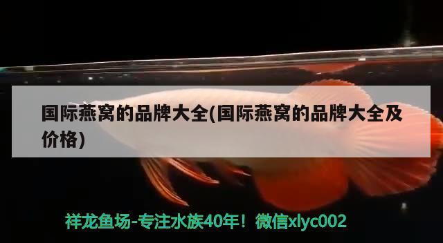 太北虎和泰虎的區(qū)別，如何讓虎魚(yú)不躲在角落 虎魚(yú)百科 第1張