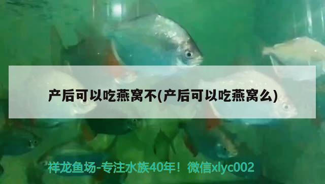 呼市哪有定做魚缸的地方呀魚缸定制在呼市，呼市哪有定做魚缸的地方呀