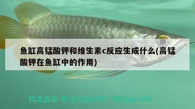 魚缸哪個牌子過濾器好用又實惠呢圖片（魚缸哪個牌子過濾器好用又實惠呢圖片大全） 其他品牌魚缸 第3張