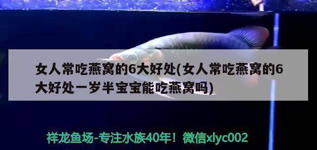 保定龍魚(yú)市場(chǎng)營(yíng)業(yè)時(shí)間電話(huà)號(hào)碼(保定龍魚(yú)市場(chǎng)營(yíng)業(yè)時(shí)間電話(huà)號(hào)碼查詢(xún))