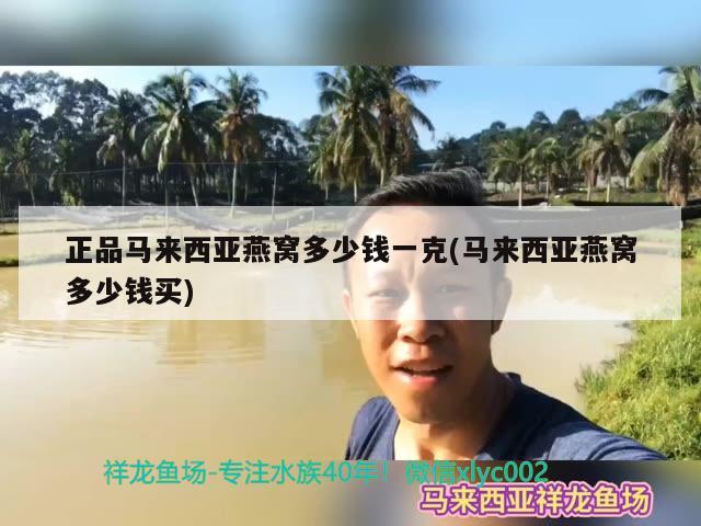 魚缸配件怎么裝進去的圖解（魚缸全套配件及名稱） 其他品牌魚缸 第1張