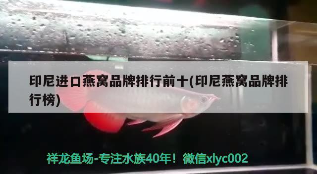 印尼進口燕窩品牌排行前十(印尼燕窩品牌排行榜) 馬來西亞燕窩