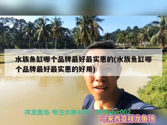 水族魚缸哪個品牌最好最實惠的(水族魚缸哪個品牌最好最實惠的好用) BD魟魚