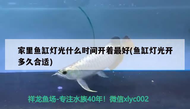 家里魚缸燈光什么時(shí)間開著最好(魚缸燈光開多久合適) 養(yǎng)魚知識(shí)