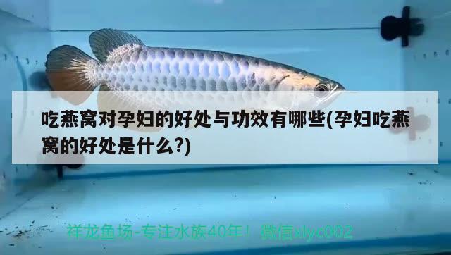 魚缸過濾增氧一體機有用嗎知乎(魚缸過濾和增氧一體怎么用)