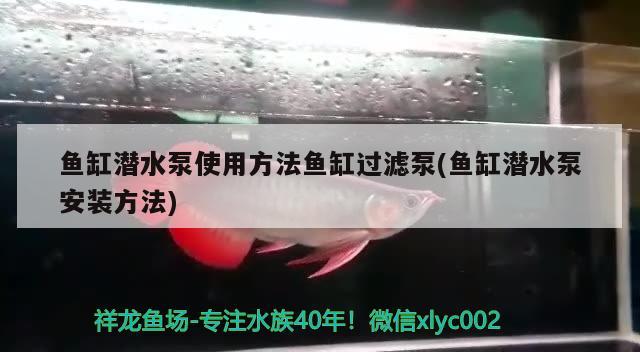 燕小廚燕窩配料表(燕窩燕小廚的價格)