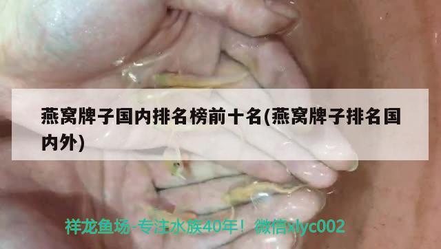 長(zhǎng)垣賣觀賞魚的地方（新鄉(xiāng)防火涂料哪家比較好） 野彩魚 第1張