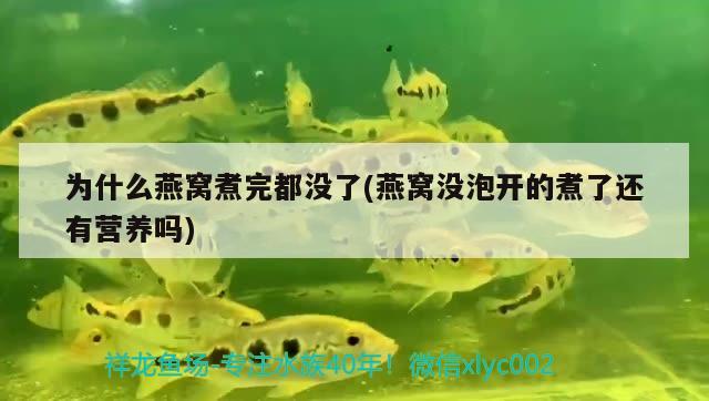 房間哪個位置適合放魚缸(房間哪個位置適合放魚缸風(fēng)水好) 紅魔王銀版魚