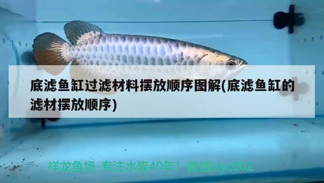 底濾魚(yú)缸過(guò)濾材料擺放順序圖解(底濾魚(yú)缸的濾材擺放順序)