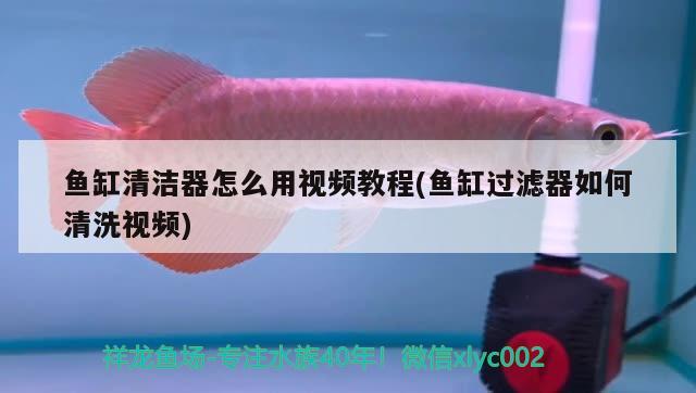 魚缸清潔器怎么用視頻教程(魚缸過濾器如何清洗視頻)