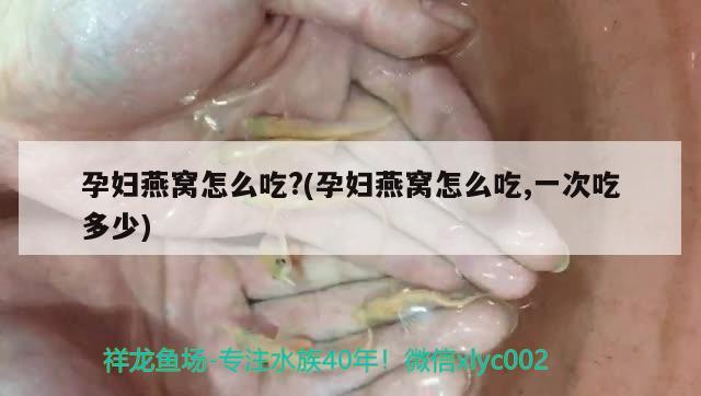 瞧瞧這條魚怎么樣