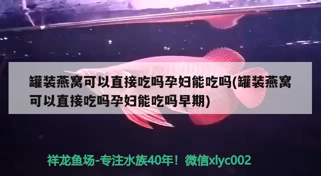 罐裝燕窩可以直接吃嗎孕婦能吃嗎(罐裝燕窩可以直接吃嗎孕婦能吃嗎早期)