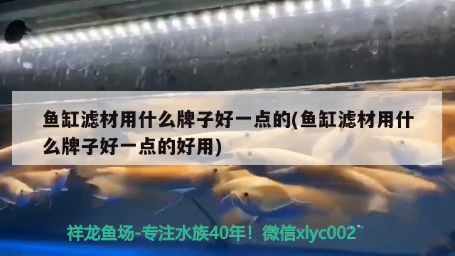 魚缸濾材用什么牌子好一點的(魚缸濾材用什么牌子好一點的好用)