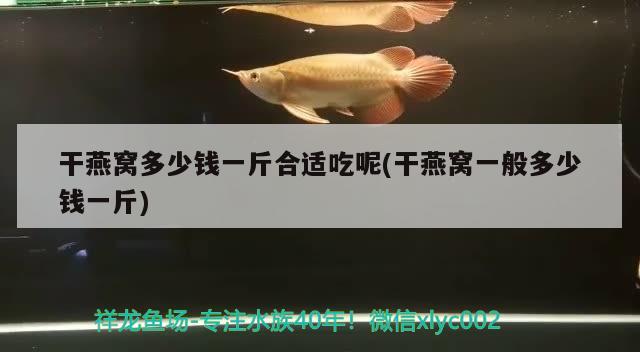 干燕窩多少錢一斤合適吃呢(干燕窩一般多少錢一斤) 馬來西亞燕窩