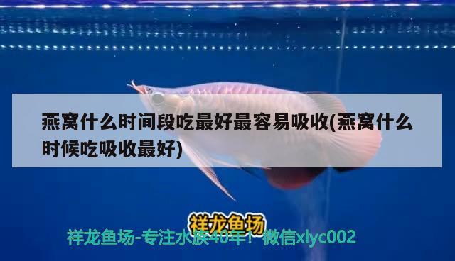 七彩神仙魚是高氧魚嗎 水族品牌 第2張