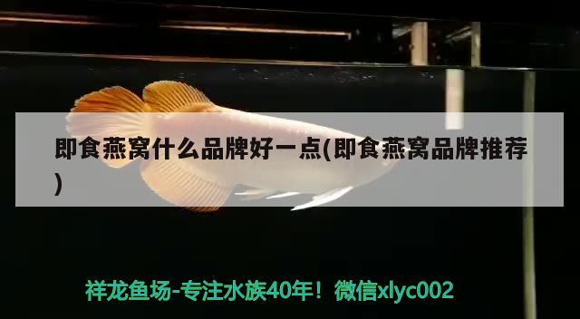 即食燕窩什么品牌好一點(即食燕窩品牌推薦) 馬來西亞燕窩