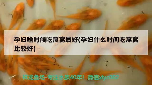 孕婦啥時候吃燕窩最好(孕婦什么時間吃燕窩比較好)