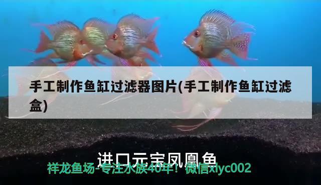 手工制作魚缸過濾器圖片(手工制作魚缸過濾盒)