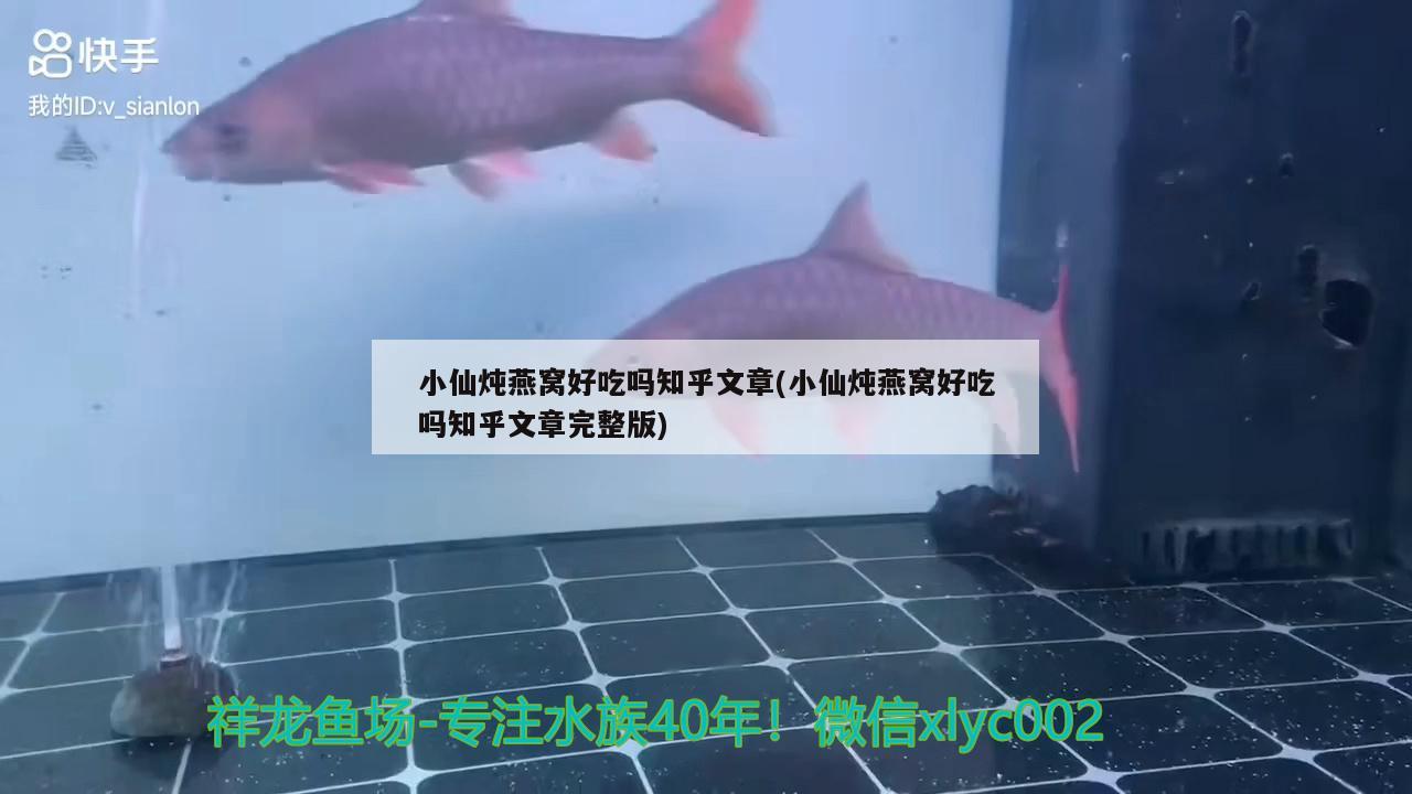 龍魚(yú)品牌毒素（龍魚(yú)四大品牌）