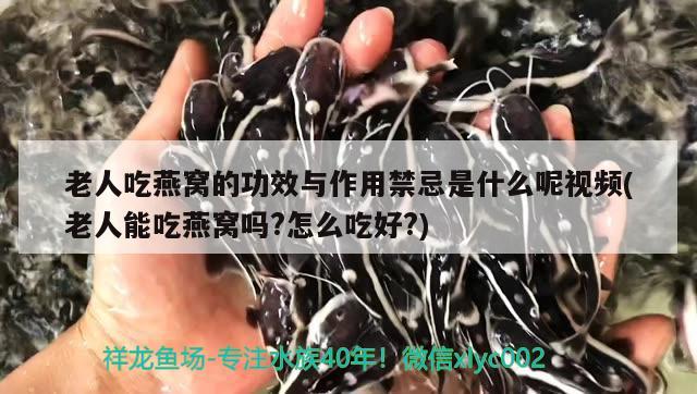 老人吃燕窩的功效與作用禁忌是什么呢視頻(老人能吃燕窩嗎?怎么吃好?) 馬來西亞燕窩