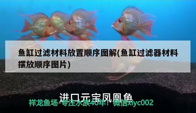 魚缸過濾材料放置順序圖解(魚缸過濾器材料擺放順序圖片) 白玉紅龍魚