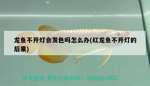 魚(yú)缸燈電源適配器的使用，lumenaqua魚(yú)缸led燈電源適配器壞了 祥禾Super Red紅龍魚(yú) 第2張