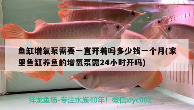 龍魚(yú)掉眼是什么樣子龍魚(yú)掉眼是什么樣子龍魚(yú)掉眼是什么樣子，龍魚(yú)為什么會(huì)掉眼