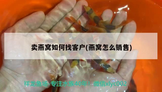 祥龍魚場(chǎng)觀賞魚價(jià)格表大全圖（祥龍魚場(chǎng)觀賞魚價(jià)格表大全圖片及價(jià)格）