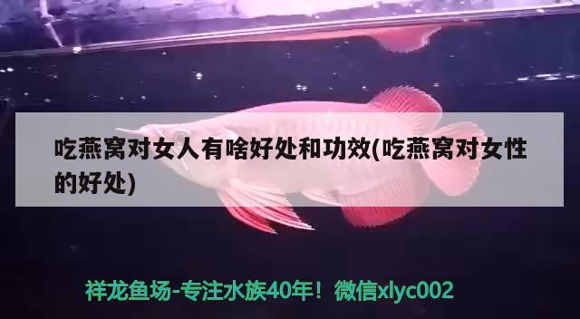 魚(yú)缸有品牌嗎知乎 