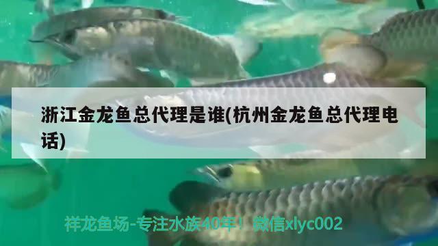 浙江金龍魚總代理是誰(杭州金龍魚總代理電話)