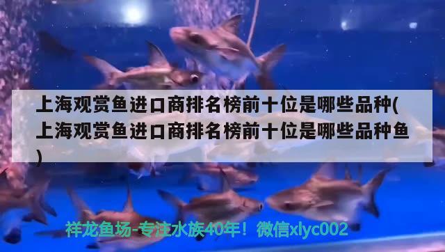 上海觀賞魚進(jìn)口商排名榜前十位是哪些品種(上海觀賞魚進(jìn)口商排名榜前十位是哪些品種魚) 觀賞魚進(jìn)出口