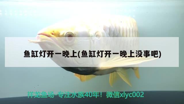 魚缸燈開一晚上(魚缸燈開一晚上沒事吧) iwish愛唯希品牌魚缸