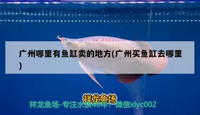 天王水族魚缸專賣店北京地址電話(天王水族魚缸專賣店北京地址電話是多少) 馬來(lái)西亞貓山王榴蓮 第2張